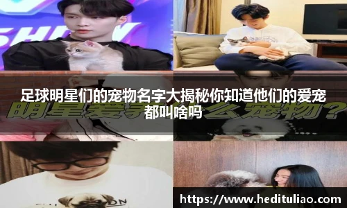足球明星们的宠物名字大揭秘你知道他们的爱宠都叫啥吗